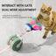 Interactive Laser & Mouse Cat Toy