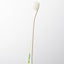 mind up - Dog's Toothbrush Large Head (Made in Japan)