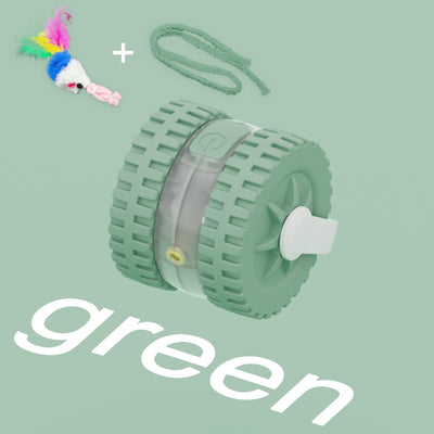 Interactive Laser & Mouse Cat Toy