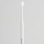 mind up - Dog's Dental Care Kit D "Cylinder Head" (Made in Japan)