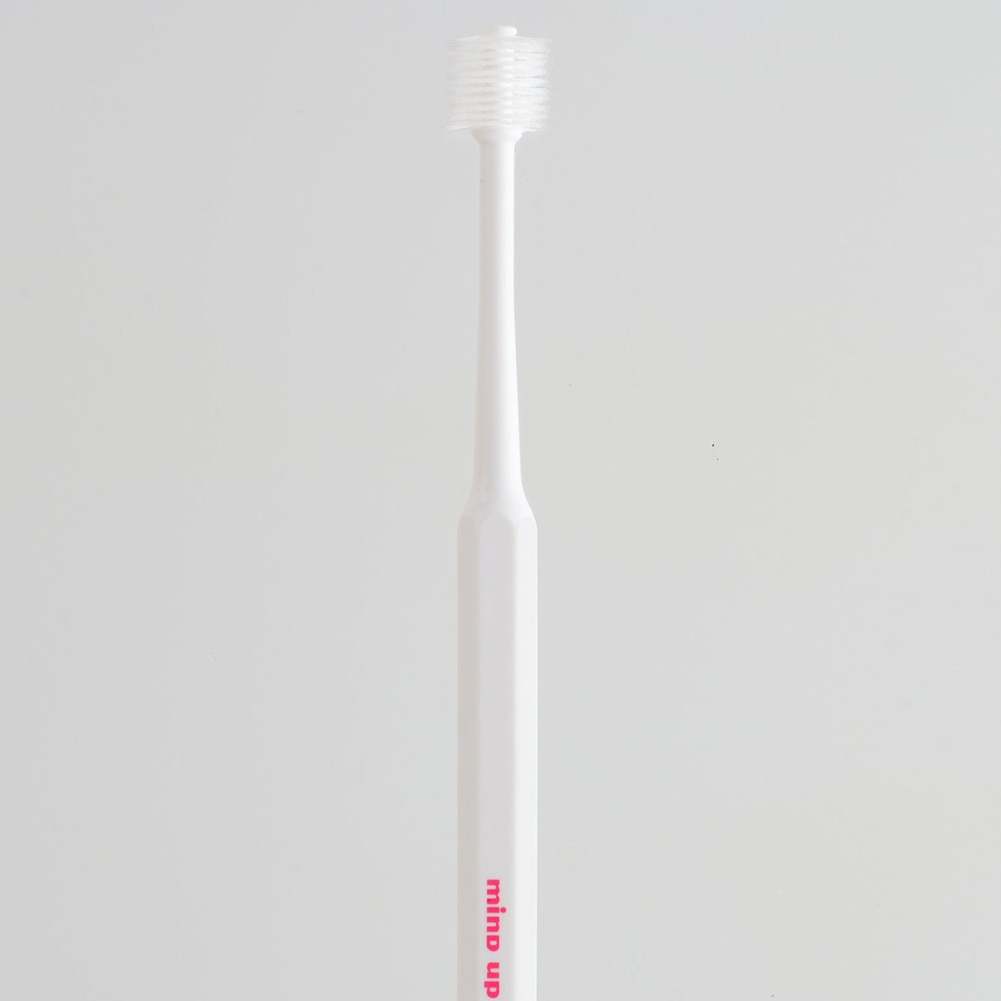 mind up - Dog's Dental Care Kit D "Cylinder Head" (Made in Japan)