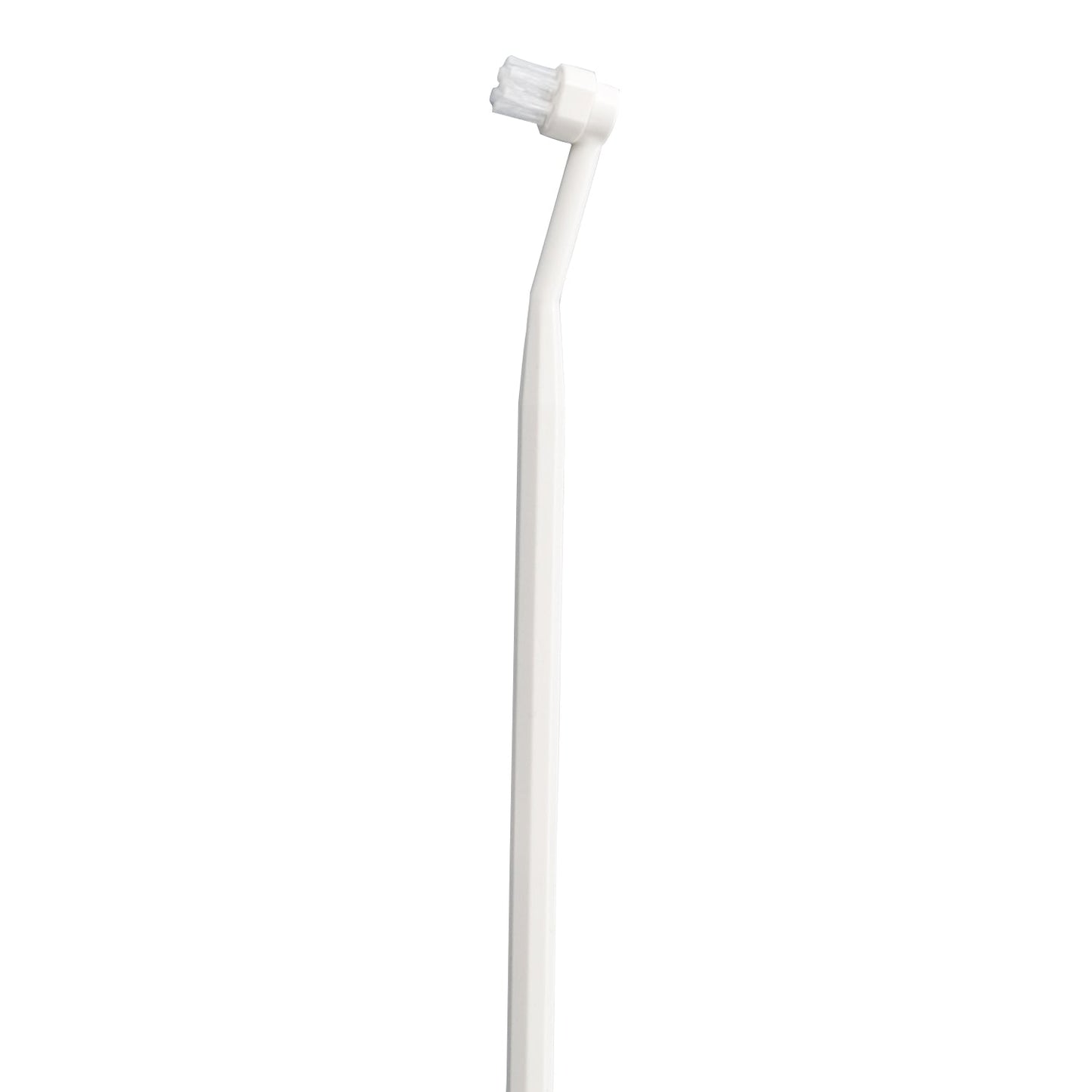 mind up - Dog's Toothbrush Detachable Round Head (Made in Japan)