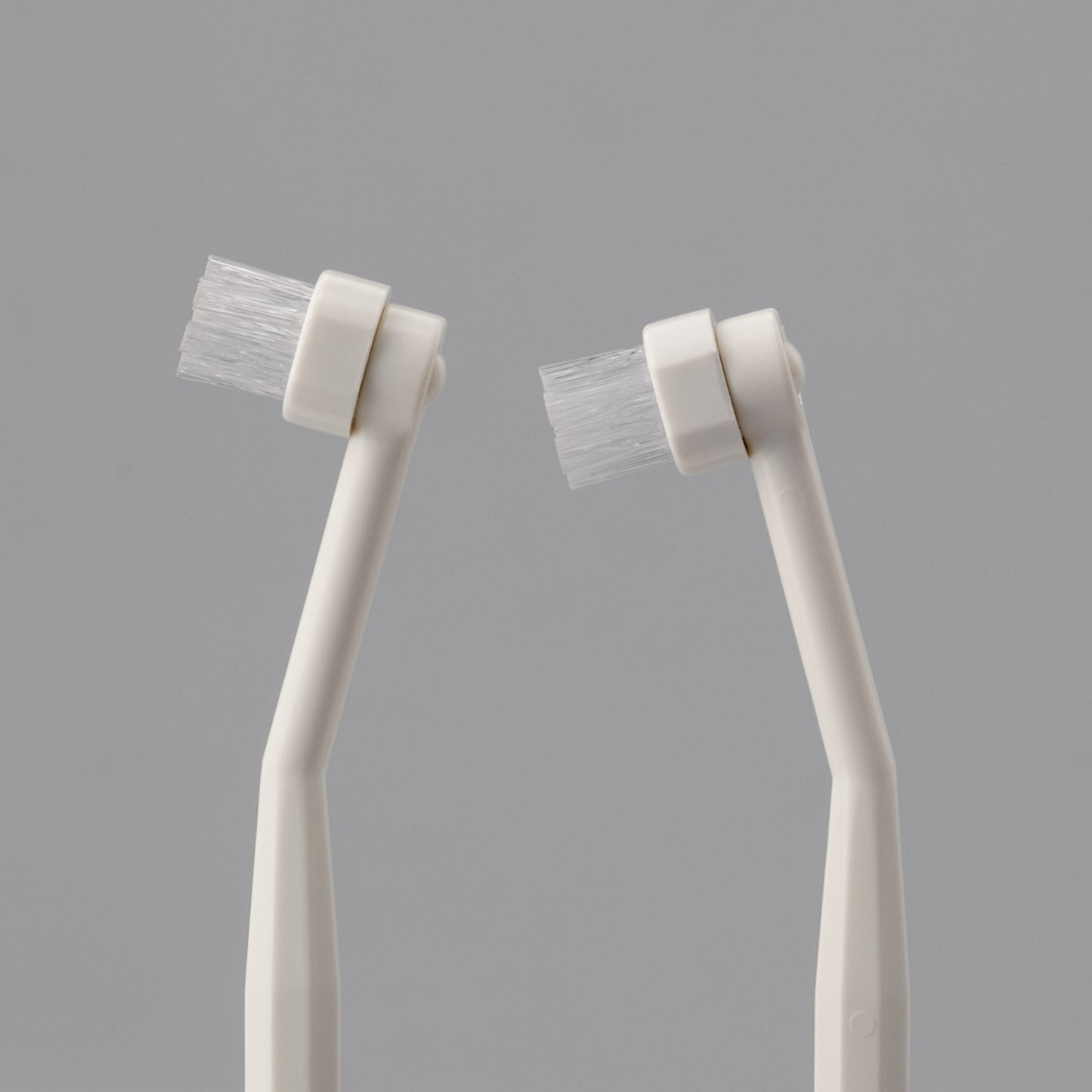 mind up - Dog's Toothbrush Detachable Round Head (Made in Japan)